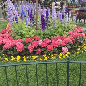 Meet your Posher, Caro